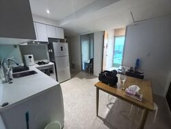 Eight Riversuites (D12), Condominium #547703531